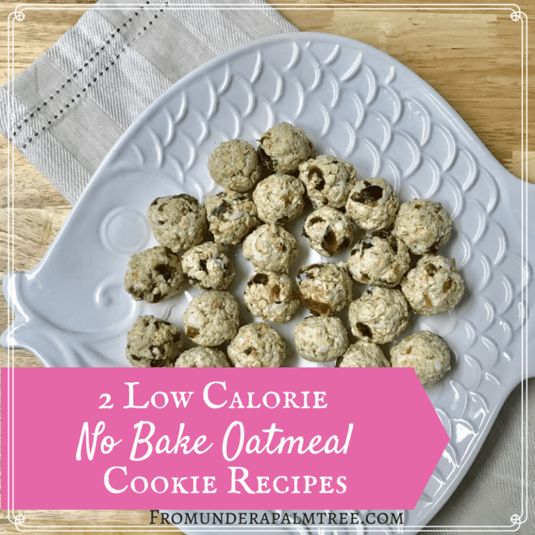 2 Low Calorie No Bake Oatmeal Cookie Recipies From Under a Palm Tree