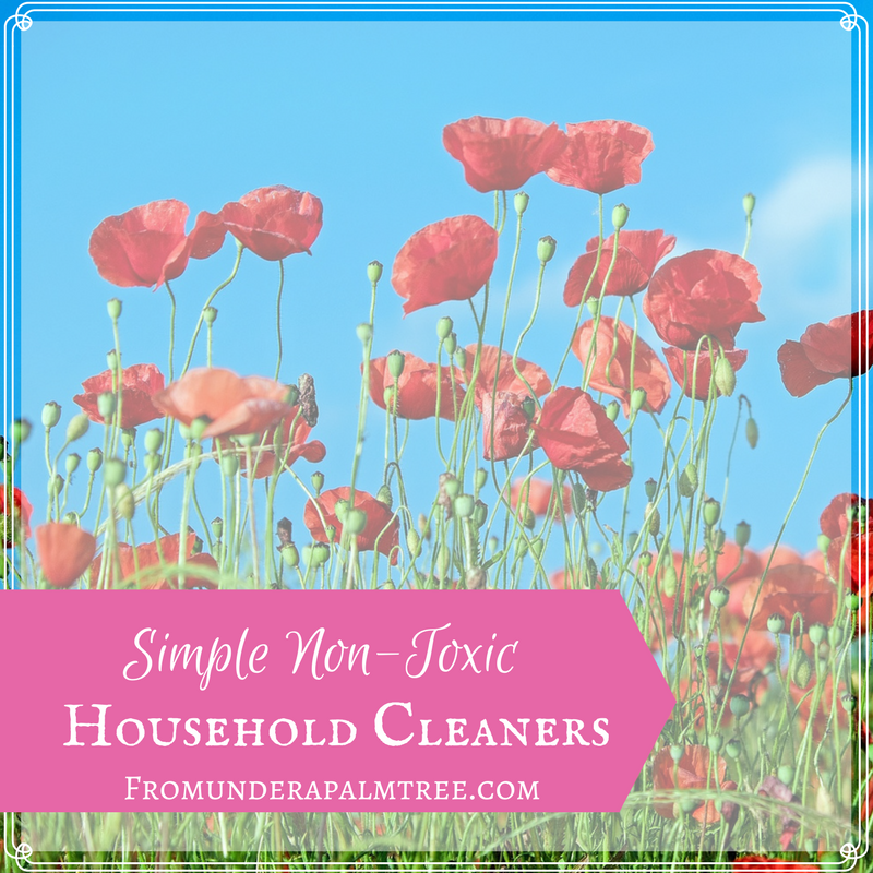 How to make all natural house hold cleaners | how to make simple non-toxic cleaners | Non-toxic cleaners | DIY Cleaning | all-natural cleaners | household cleaners | simple non-toxic cleaners | Sustainable cleaners |