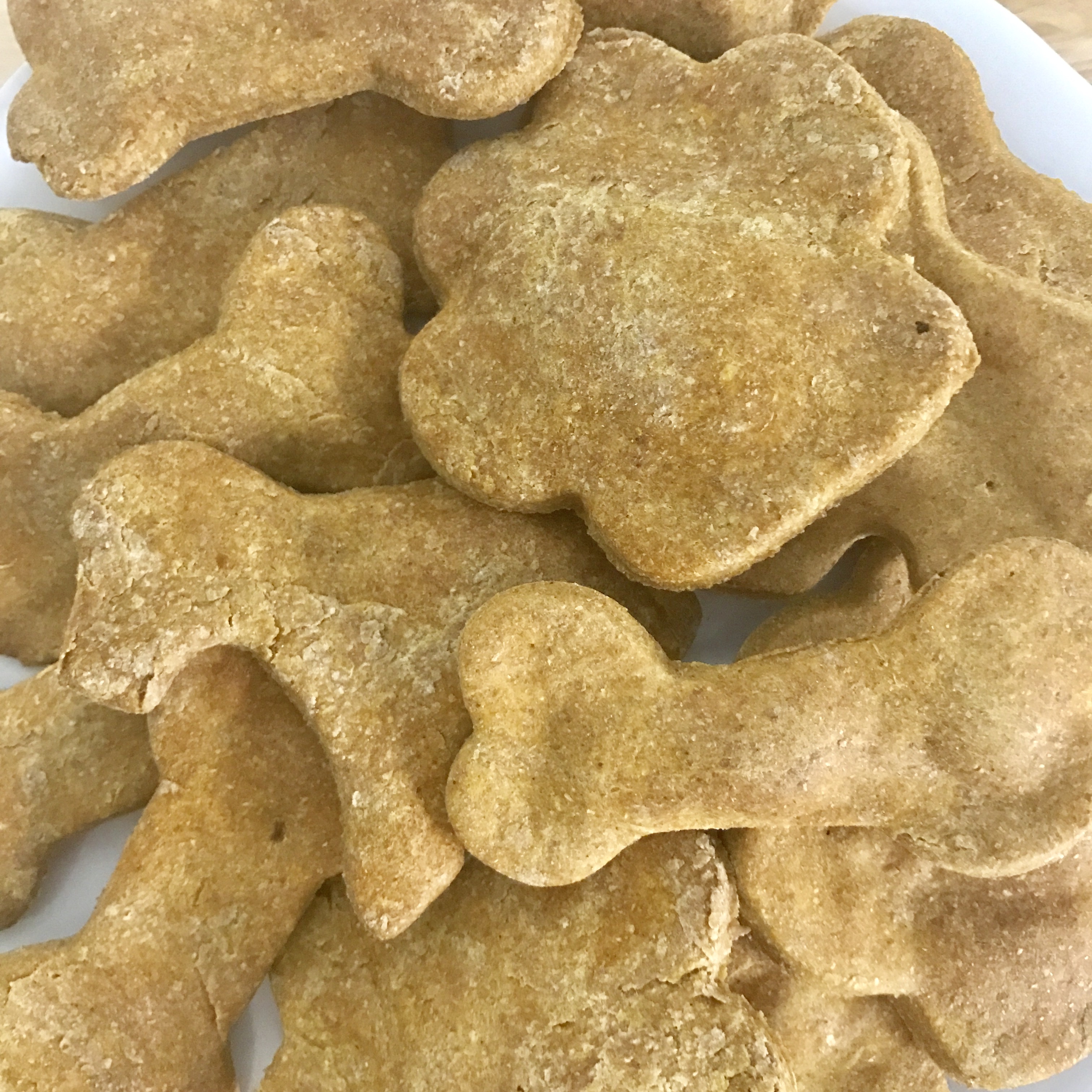 Pumpkin and Peanut Butter Dog Biscuits