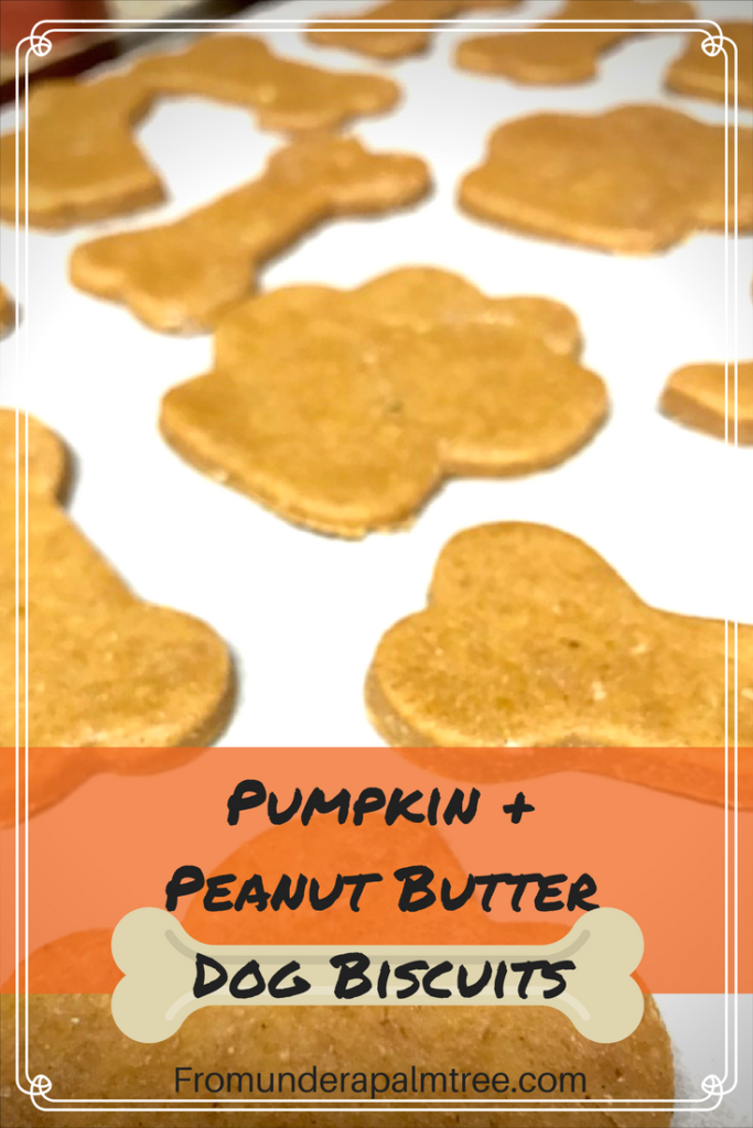 how to make dog biscuits | making dog biscuits | how to make dog treats | making dog treats | DIY dog treats | peanut butter dog treats | dog treats | lifestyle blog |