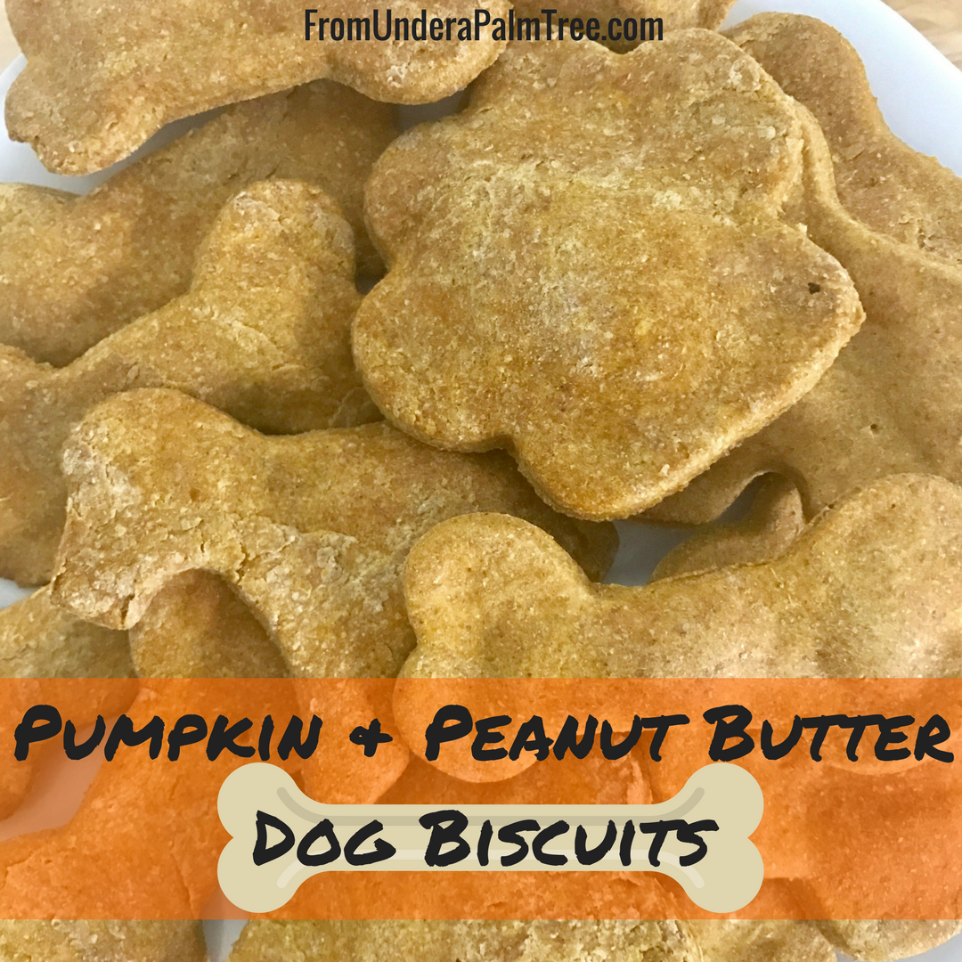pumpkin peanut butter dog biscuits