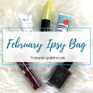 February Ipsy Bag by From Under a Palm Tree