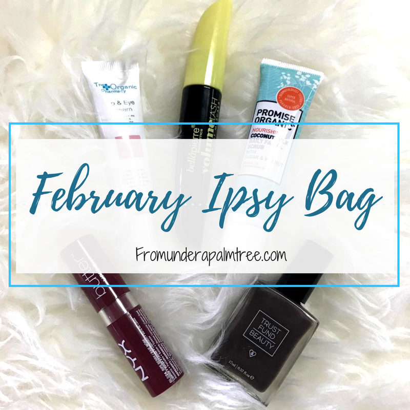 February Ipsy Bag