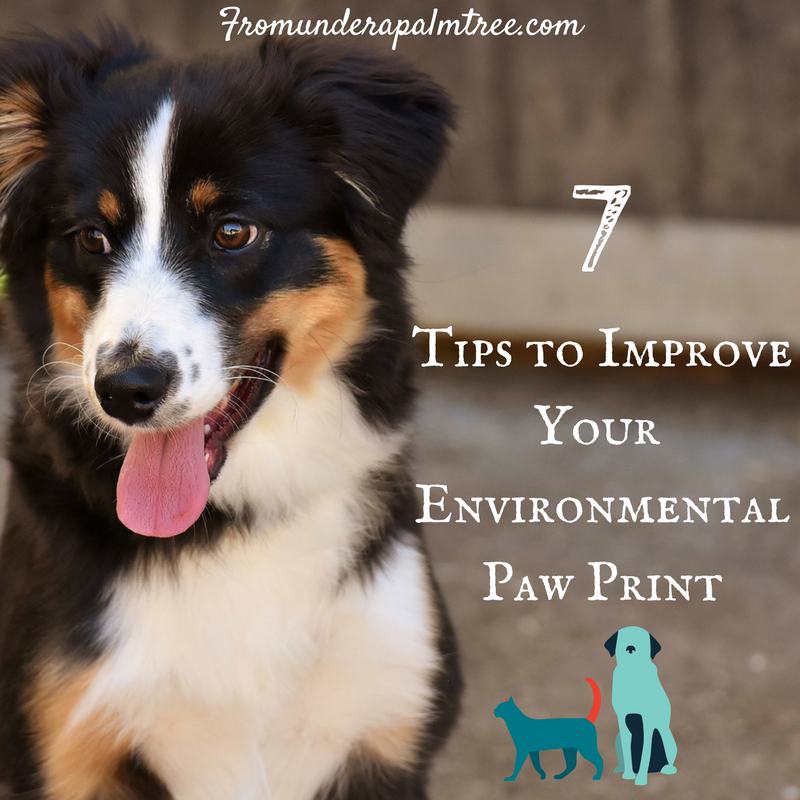7 Tips to Improve Your Environmental Paw Print by From Under a Palm Tree