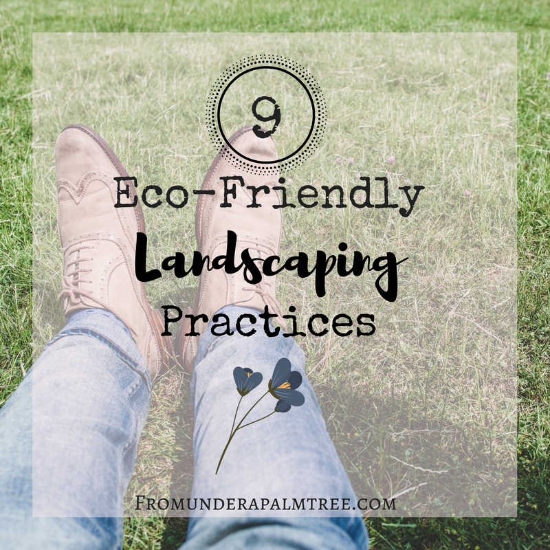 Ecofriendly way to redo landscaping | eco-friendly practices | eco-friendly | go green | environmentally friendly landscaping | eco-friendly landscaping | landscaping tips | eco-friendly |