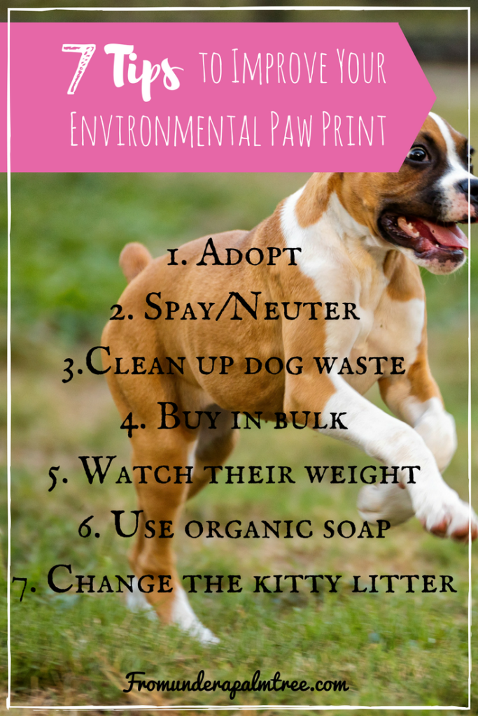 Pet Sustainability | Taking care of animals | Taking care of dogs | how to take care of pets | sustainable pets | sustainable living | green | Environmentally friendly pets | eco-friendly pets | eco pets | pets | family |