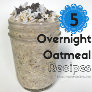 5 Overnight Oatmeal Recipes by From Under a Palm Tree