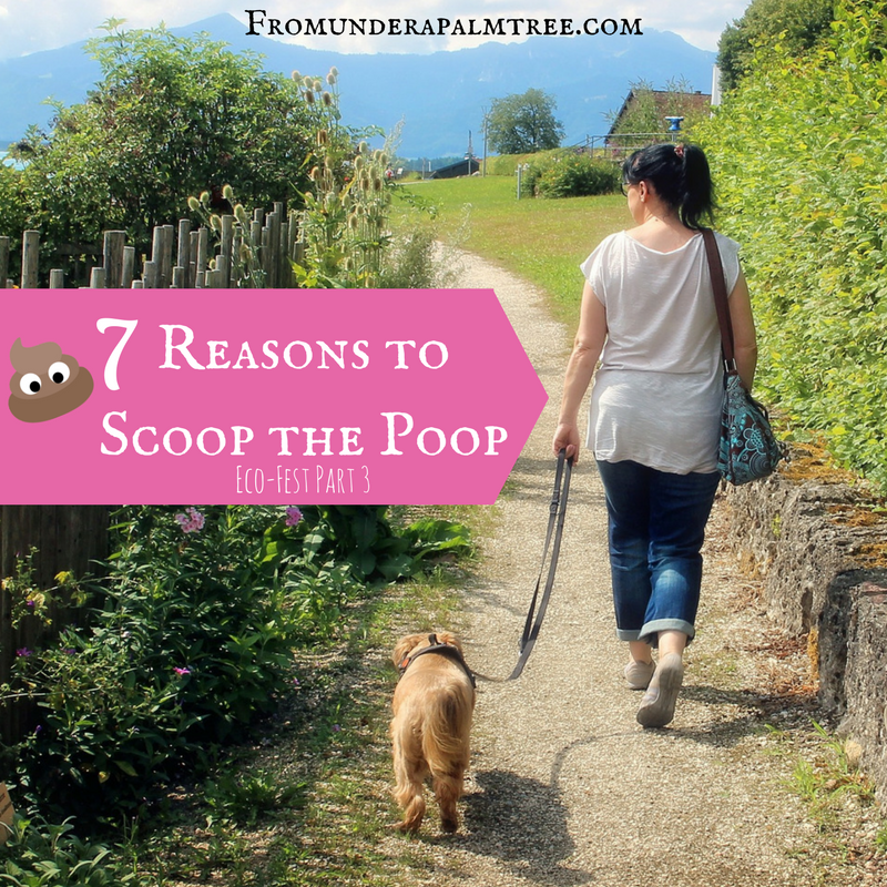 7 Reasons to Scoop the Poop by From Under a Palm Tree
