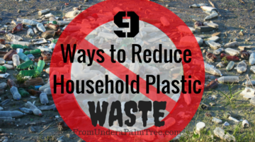 9 Ways to Reduce Household Plastic Waste by From Under a Palm Tree