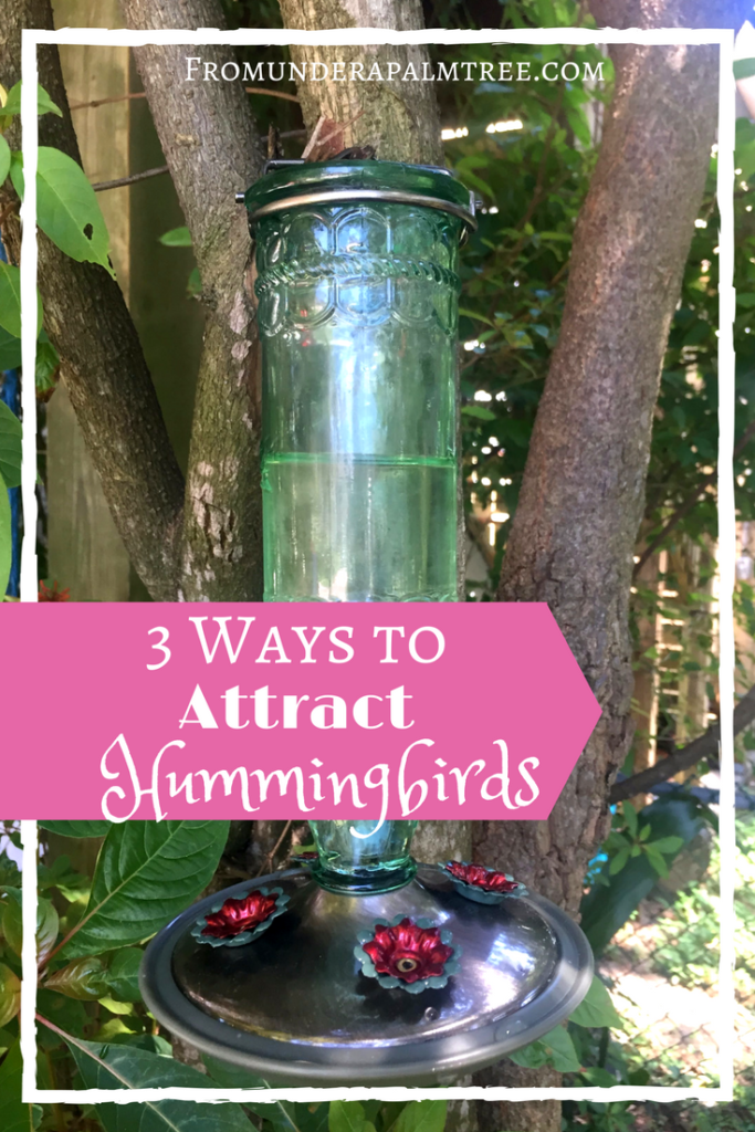3 Ways to attract hummingbirds | bird watching | birds | hummingbirds | home and garden | garden | outdoors | natural | nature | nectar | 