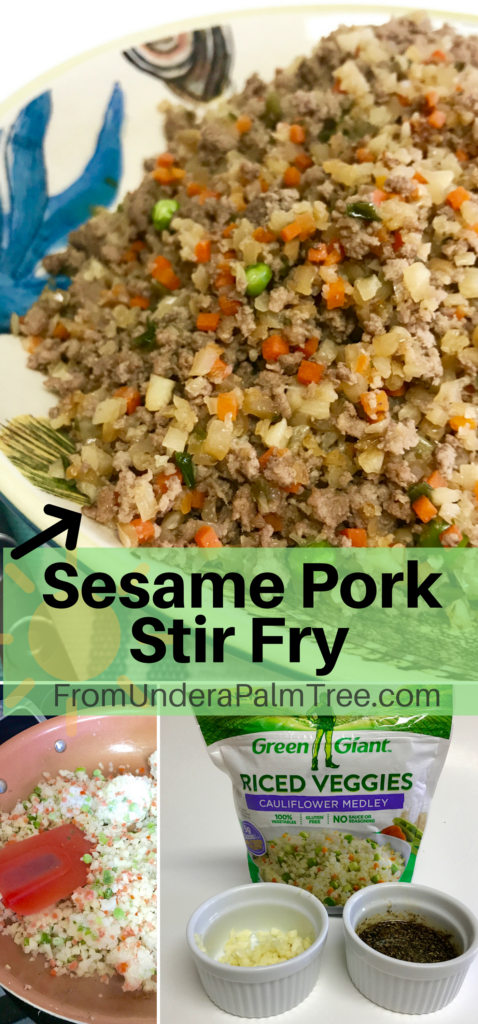 Sesame Pork Stir Fry by From Under a Palm Tree