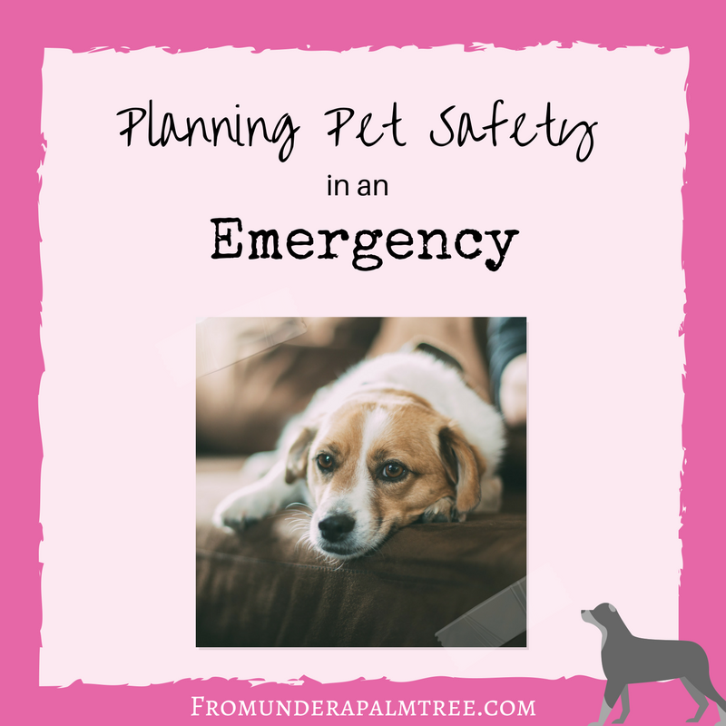 Are you trying to plan ahead for an Emergency? Don't forget your furry friends. Here are a list of items to prepare for pet safety in an emergency. | Pet Emergency Preparedness | Pet Safety in an Emergency | Planning Pet Safefty | Pet safety in a natural disaster | pet hurricane plan | natural disaster plan for your pets | pet owner emergency plan | dog emergency plan | Planning pet safety in an Emergency | Pet Evacuation plan |