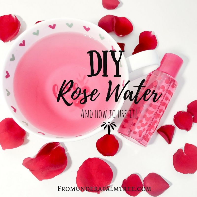DIY Rose Water | How to make Rose Water | What is rose what used for | Making rose water | how to use rose water | what is rose water good for | face mist | DIY | DIY craft | Beauty | Face and beauty | 