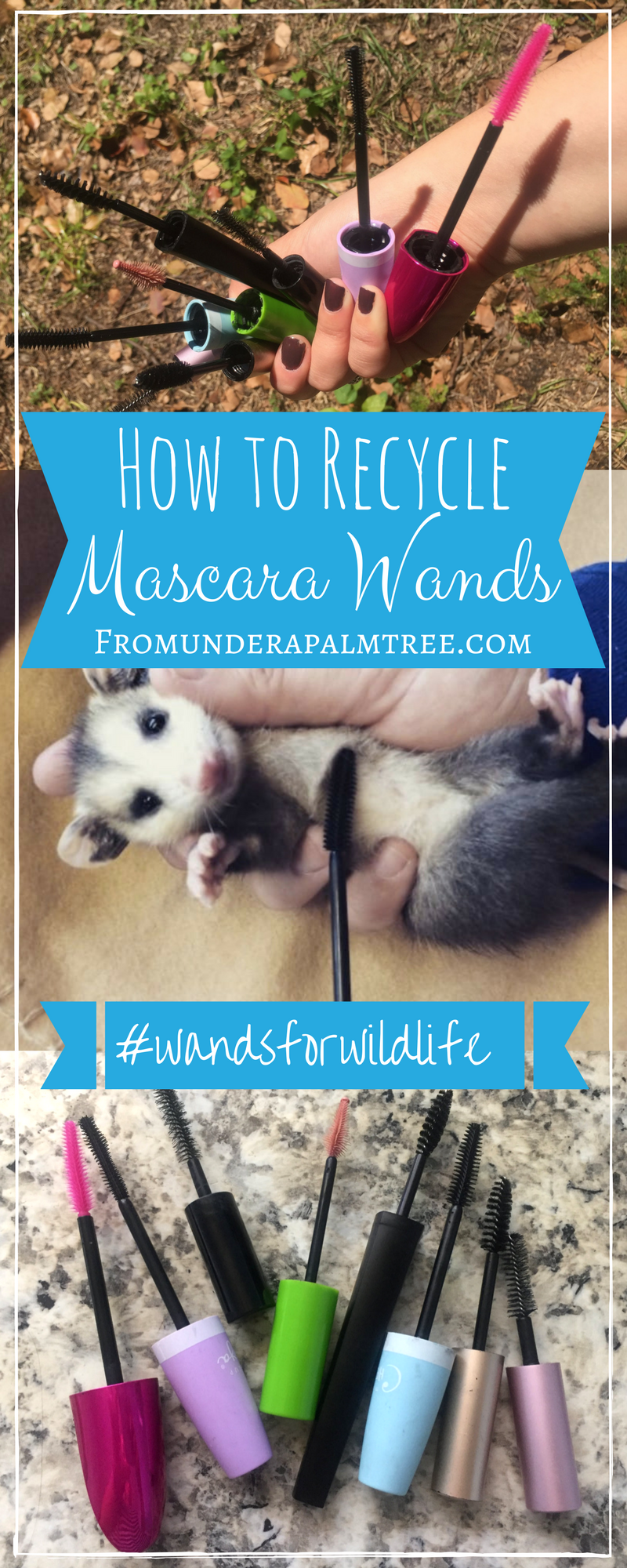 How to Recycle Mascara Wands | Wands for Wildlife | Recycle | Appalachian Wildlife Refuge | protect and save wildlife | help animals | nonprofit organization | wildlife organization | animal rescue | sustainability | green living | sustainable living | 