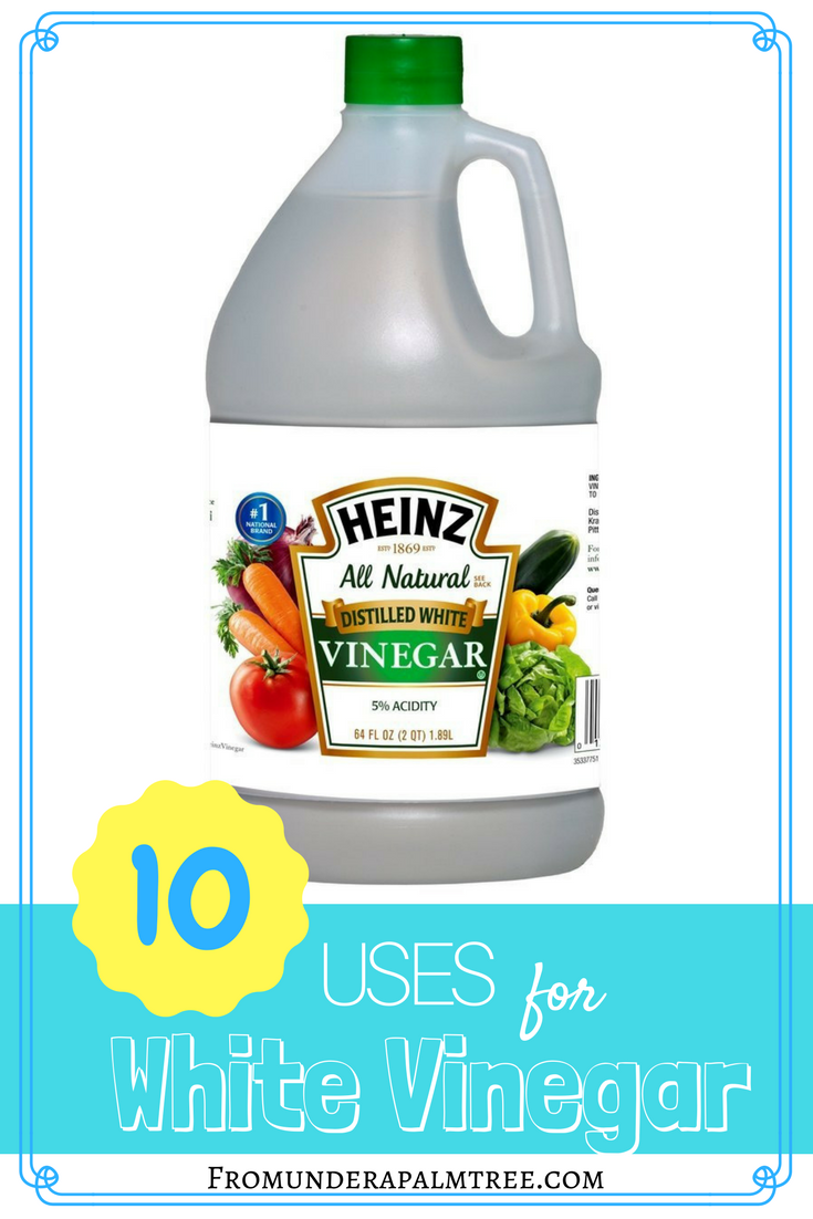 10 Uses for White Vinegar From Under a Palm Tree