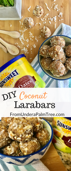 DIY | snacks | snack food | snack bar | easy recipe | easy snack recipe | datebars | snack made with dates | coconut | snacks made with coconut | recipe | snack recipe | quick and easy snacks | sunsweet dates| dried fruit | snacks to make with dried fruit | snacks to make with dried dates | DIY larabars | 