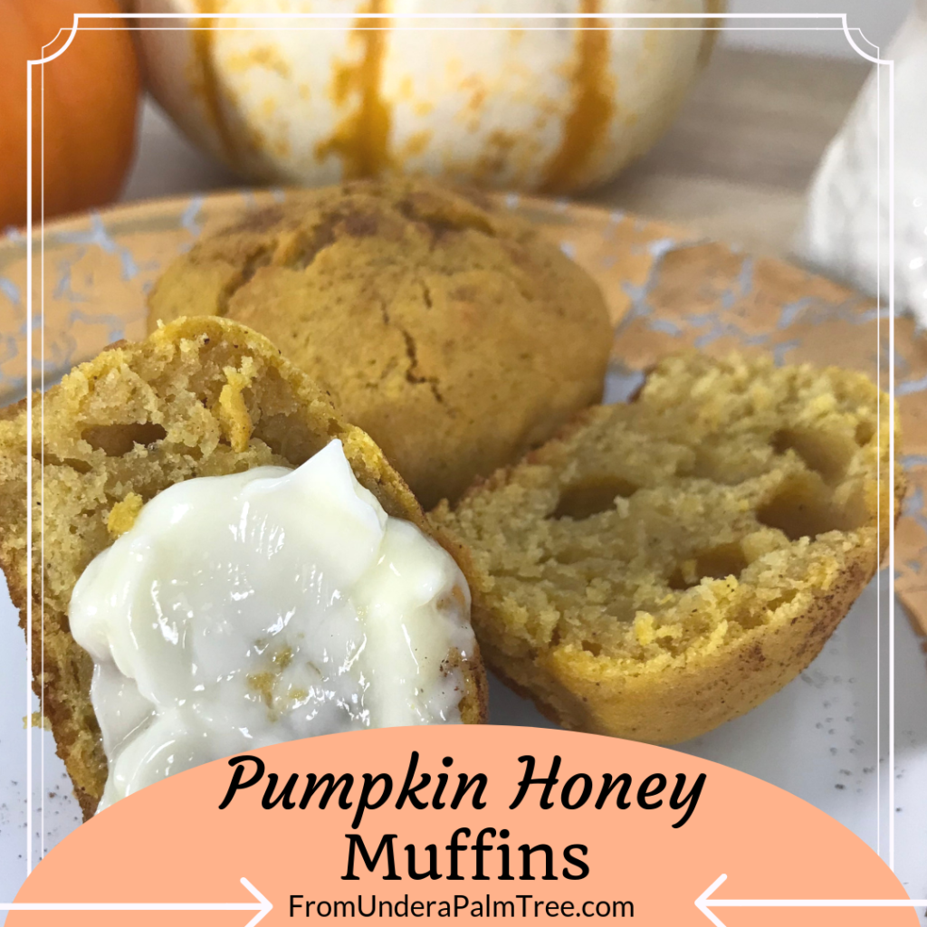 Pumpkin | Pumpkins | Pumpkin recipe | pumpkin recipes | pumpkin honey muffins | pumpkin muffins | pumpkin muffin recipes | muffins | muffin recipe | fall recipes | fall recipe | easy recipe | quick and easy breakfast recipe | on the go foods | on the go recipes | healthy recipes | healthy breakfast foods for kids | healthy breakfast foods | quick baking recipe |