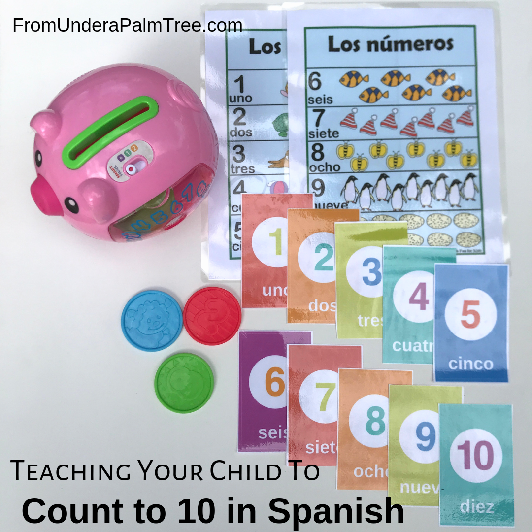 teaching-your-child-to-count-to-10-in-spanish-from-under-a-palm-tree