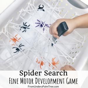 spider search game | DIY sensory bins | sensory games | halloween games for kids | fine motor development games | fine motor development activity | kids activities | learning games for preschoolers | preschool activities | 