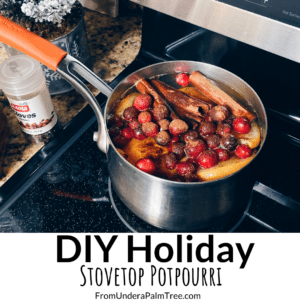 DIY holiday potpourri | potpourri recipe | DIY potpourri | DIY holiday gifts | stovetop potpourri | stovetop potpourri recipe | recipe for cinnamon potpourri | fresh potpourri recipe | how to make your own potpourri | how to cook stovetop potpourri |