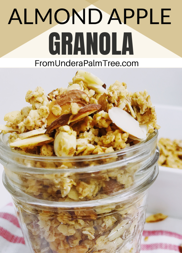 DIY granola recipe | granola | granola recipe | almond apple granola | easy snacks | snack recipe | how to make your own granola | how to make my own granola | fresh granola | healthy snacks | snacks for kids | kid friendly snacks | 