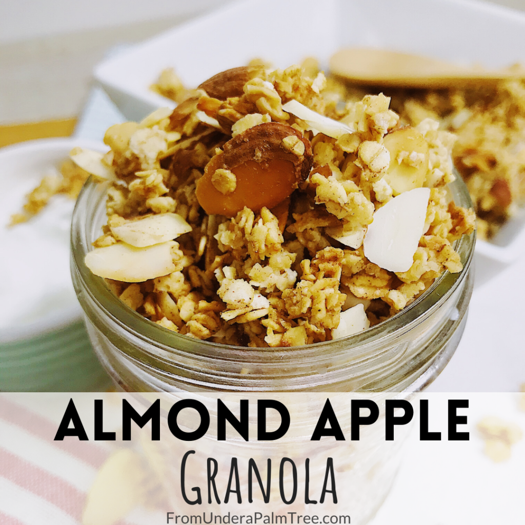 DIY granola recipe | granola | granola recipe | almond apple granola | easy snacks | snack recipe | how to make your own granola | how to make my own granola | fresh granola | healthy snacks | snacks for kids | kid friendly snacks | 