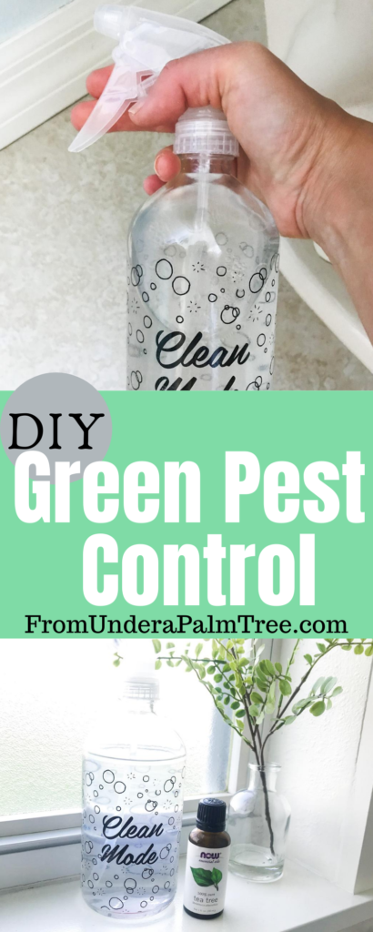 DIY | DIY green pest control | homemade pest control | pest control | pest issues | bug killer | homemade bug killer | fromunderapalmtree | Green living | home remedies | home hacks | cleaning |cleaning hacks | environmental footprint | environmentally friendly | chemical free pest control | chemical free life | free of chemicals