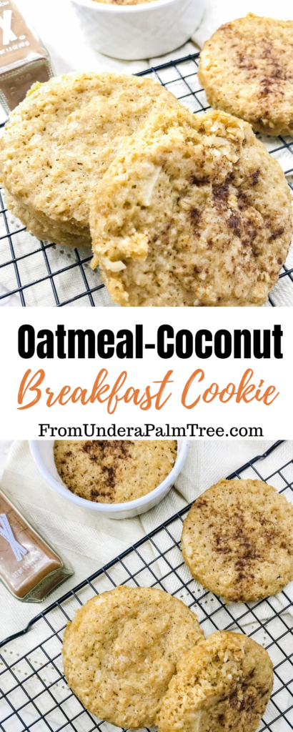 oatmeal recipes | oatmeal cookie | oatmeal coconut breakfast cookie | breakfast bars | breakfast bar recipe | breakfast cookie recipe | easy meals | easy breakfast recipe | quick recipes for breakfast | recipes with coconut | 