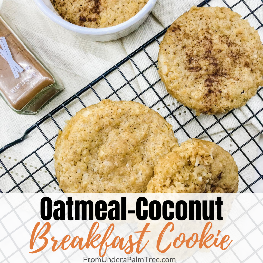 oatmeal recipes | oatmeal cookie | oatmeal coconut breakfast cookie | breakfast bars | breakfast bar recipe | breakfast cookie recipe | easy meals | easy breakfast recipe | quick recipes for breakfast | recipes with coconut |