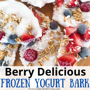 DIY frozen yogurt | frozen yogurt bark | strawberry frozen yogurt | frozen yogurt recipe | easy snack | easy snack recipe | healthy snack | healthy snack recipe | can I freeze yogurt | berry frozen yogurt | how to make yogurt bark | how to make frozen yogurt | how to make frozen yogurt bark | can i put yogurt in the freezer | snacks kids will love | snacks kids will eat | after school snack | mom snacks | after workout snack | guilt free snack | yogurt recipe | greek yogurt recipe | greek yogurt snack |