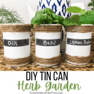 DIY herb garden | herbs | herb garden | kitchen herbs | gardening hacks | gardening tricks | how to store herbs from a garden | fresh herbs | uses for fresh herbs | soup can hacks | soup can crafts | soup can uses | tin can crafts | DIY soup can crafts |