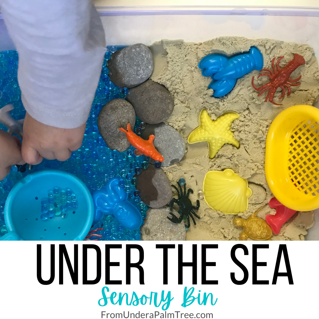 The BEST Preschool Beach Sensory Bin with Kinetic Sand
