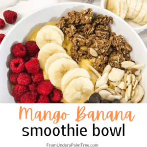 smoothie bowl | mango bowl | breakfast bowl | fruit bowl | fruit smoothie bowl recipe | fruit smoothie bowl | acai bowl | healthy breakfast recipes | healthy snacks | healthy meal ideas | fruit & granola bowl | recipes | easy recipes | easy meals for one | breakfast for one | wellness bowl |