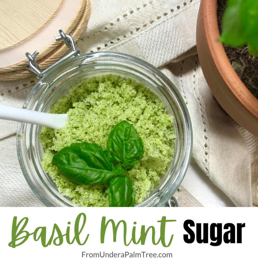 basil mint sugar | diy sugar recipe | homemade sugar mixture | homemade sugar recipe | basil mint mojito | basil | fresh basil uses | mint mojito recipe | homemade | summer drinks | sugar substitute | swerve uses | swerve recipe |