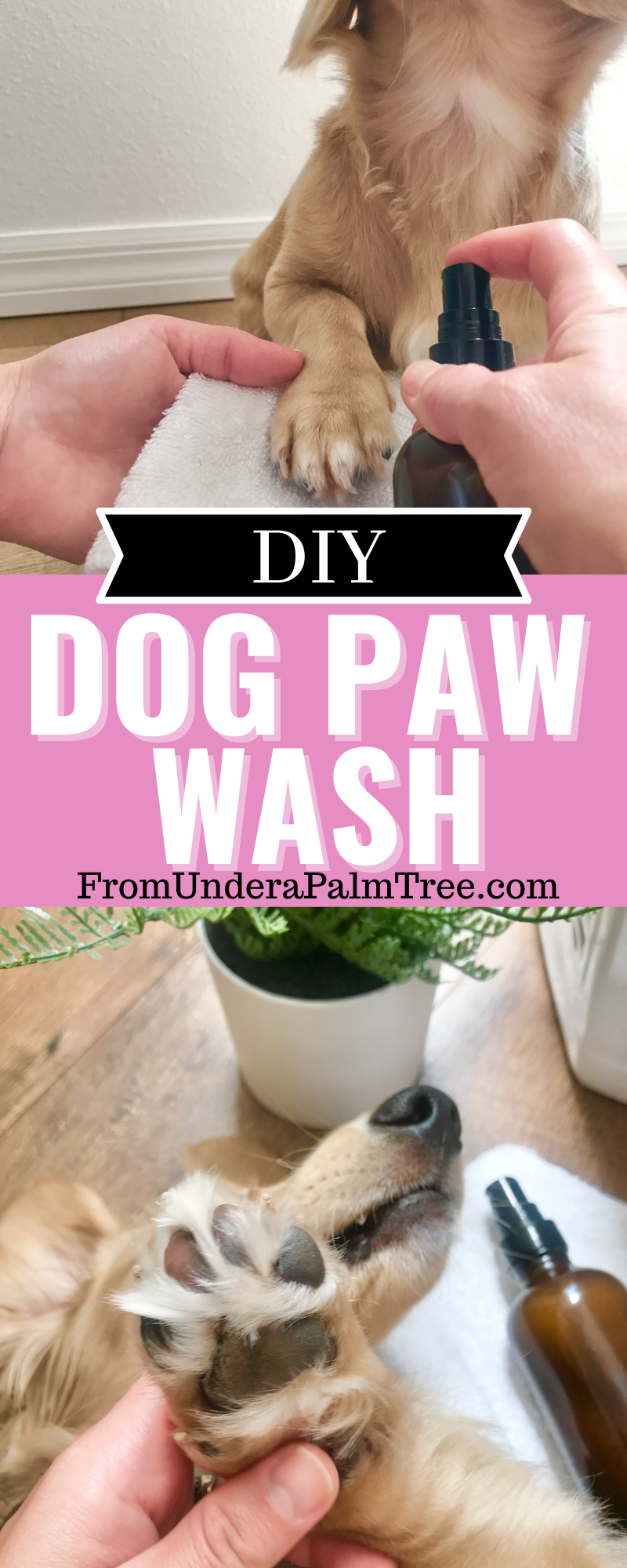 dog paw wash | diy dog paw wash | how to wash my dogs paws | paw wash recipe | how to make paw wash | what can I wash my dogs paws with | dog paw cleanser | diy paw cleanser | how to make a paw cleanser for my dog | what can i clean my dogs feet with | how to clean my dogs feet | dr bronners soap uses | can i uses dr bronners soap on my pet | diy dog paw cleanser |