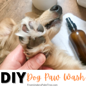 dog paw wash | diy dog paw wash | how to wash my dogs paws | paw wash recipe | how to make paw wash | what can I wash my dogs paws with | dog paw cleanser | diy paw cleanser | how to make a paw cleanser for my dog | what can i clean my dogs feet with | how to clean my dogs feet | dr bronners soap uses | can i uses dr bronners soap on my pet | diy dog paw cleanser | 