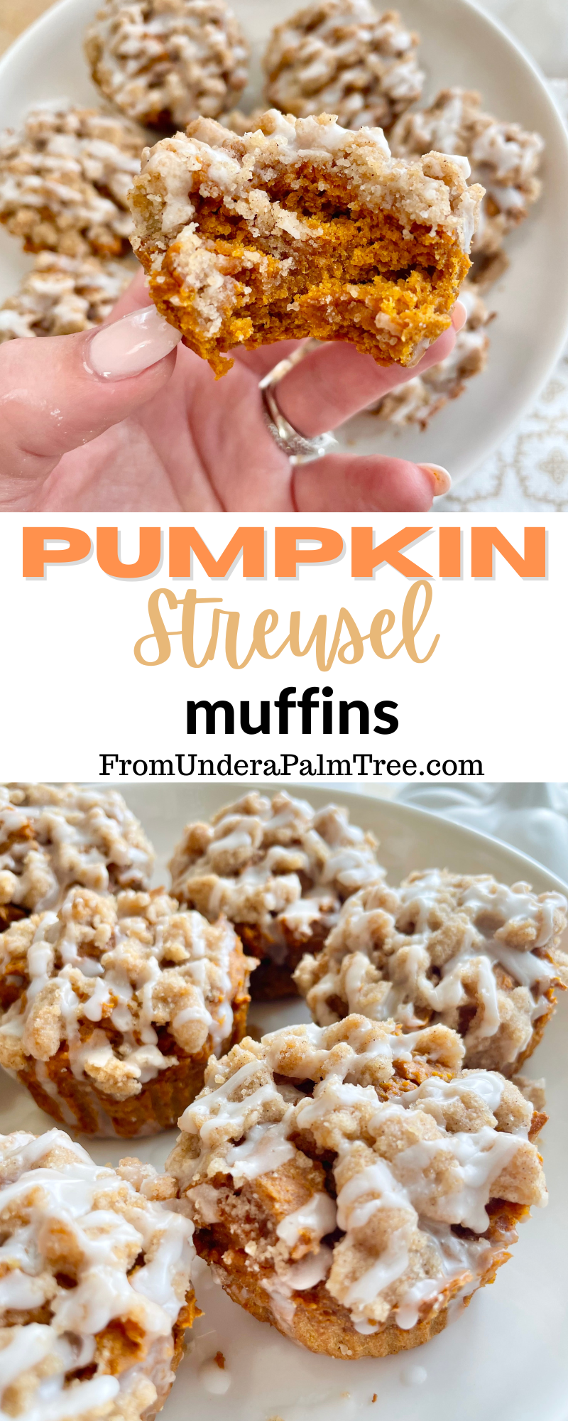 pumpkin muffins | easy pumpkin muffins | pumpkin streusel muffins | easy pumpkin muffin recipe | pumpkin bread | pumpkin recipes | pumpkin | foods for fall | muffin recipe | how to make pumpkin muffins quickly | simple pumpkin muffins | 