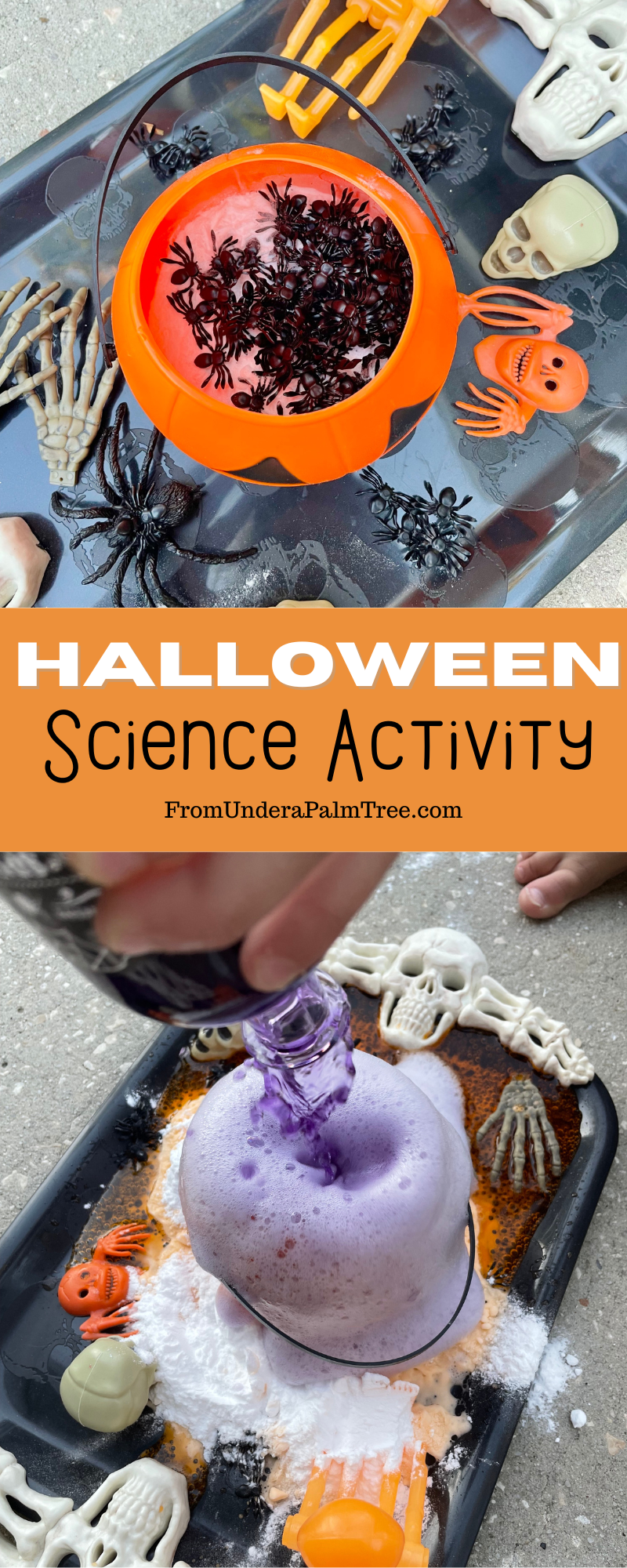 Halloween Science Activity