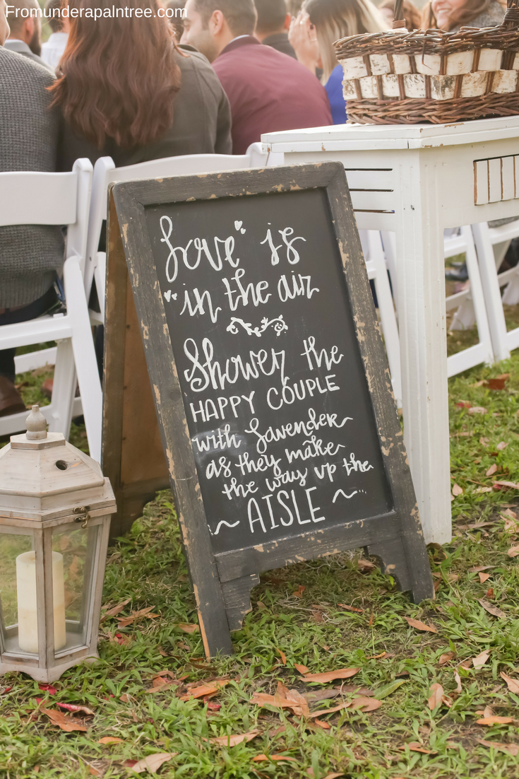 Nerdy Rustic Barn Wedding - From Under a Palm Tree