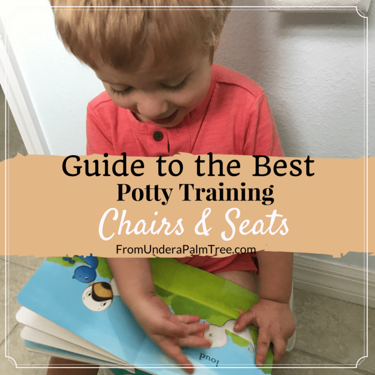 Guide to the Best Potty Training Chairs and Seats