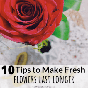 flower food | diy flower food | tricks to make flowers last longer | how to make my flowers live longer | fresh flower food | DIY flower food recipe | tips for making flowers live longer | home tricks | home hacks |