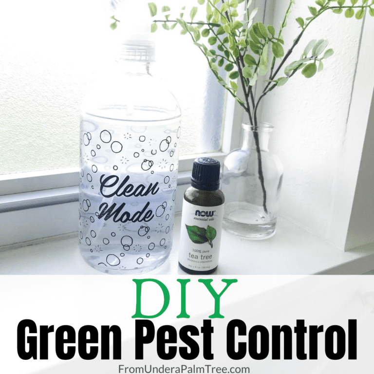 DIY Green Pest Control   DIY Green Pest Control 768x768 