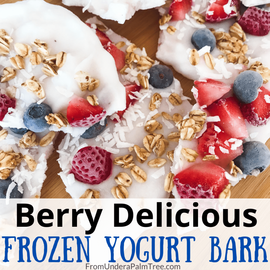 Berry Delicious Frozen Yogurt Bark - From Under a Palm Tree