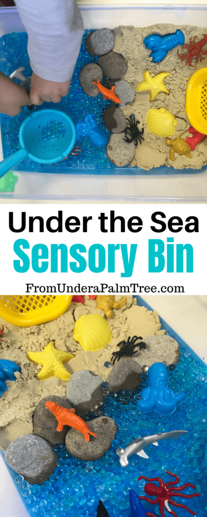 Under the Sea Sensory Bin > From Under a Palm Tree