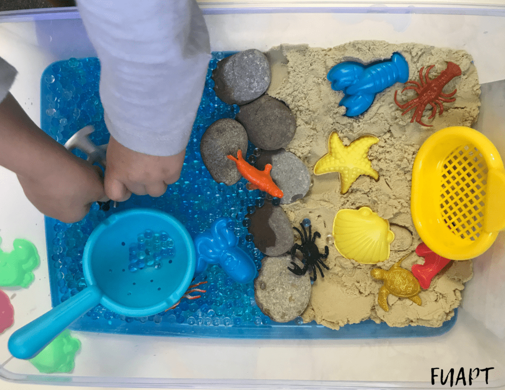 Under the Sea Sensory Bin > From Under a Palm Tree