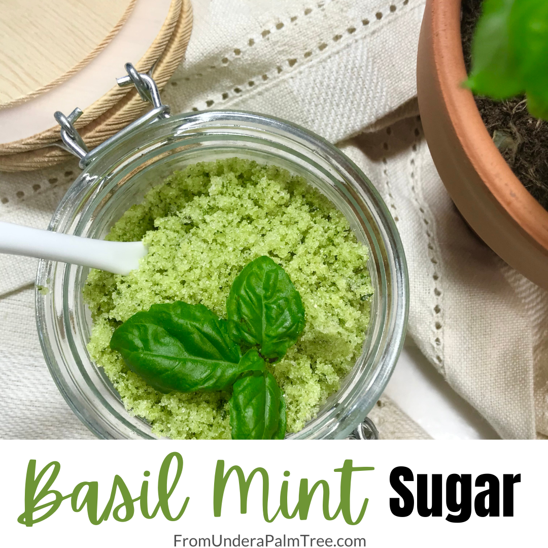 Basil Mint Sugar From Under a Palm Tree