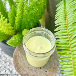 all natural bug repellent | all natural ingredients | best way to keep the bugs away outside | candle recipe | citronella candle recipe | DIY | DIY candle recipe | DIY candles | DIY citronella candles | DIY home | DIY mosquito repellent | Easy DIY Citronella Candle Recipe | greenliving | how to keep the bugs away outside | how to make candles | easy candle recipe | how to make candles easy | candle recipe | mosquito repellent | outdoors | Diy citronella candles with essential oils | DIY citronella oil burner | Citronell oil for candle making | DIY bug repellent candle with essential oils | How to make citronella oil | citronell candle making kit | how much citronella oil to add to candles | homemade candle | easy diy citronella candle recipe with essential oils | How to make citronella candles from plant | homemade citronella candles in mason jars | all natural insect repellent | eco-friendly | Green living | fromunderapalmtree | lifestyleblog | mom blogger | lifestyle blogger | how to make citronella candles | diy citronella candles easy | scented | wax | fragrance | essential oil | citronella essential oil |