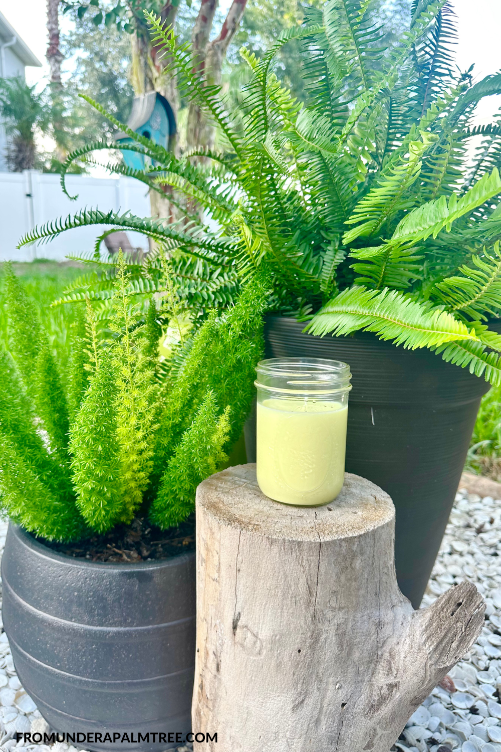 all natural bug repellent | all natural ingredients | best way to keep the bugs away outside | candle recipe | citronella candle recipe | DIY | DIY candle recipe | DIY candles | DIY citronella candles | DIY home | DIY mosquito repellent | Easy DIY Citronella Candle Recipe | greenliving | how to keep the bugs away outside | how to make candles | easy candle recipe | how to make candles easy | candle recipe | mosquito repellent | outdoors | Diy citronella candles with essential oils | DIY citronella oil burner | Citronell oil for candle making | DIY bug repellent candle with essential oils | How to make citronella oil | citronell candle making kit | how much citronella oil to add to candles | homemade candle | easy diy citronella candle recipe with essential oils | How to make citronella candles from plant | homemade citronella candles in mason jars | all natural insect repellent | eco-friendly | Green living | fromunderapalmtree | lifestyleblog | mom blogger | lifestyle blogger | how to make citronella candles | diy citronella candles easy | scented | wax | fragrance | essential oil | citronella essential oil |