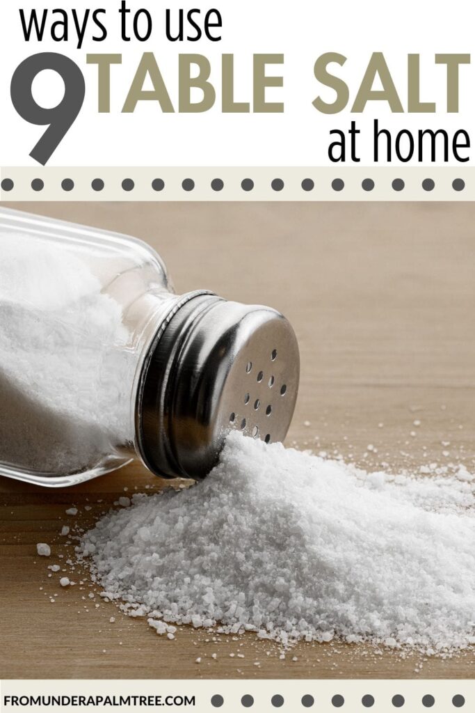 10 uses of salt water | 10 uses of table salt | 10 uses for table salt | 10 Ways to Use Table Salt at Home | 101 uses for salt | 20 uses of salt | 5 uses of salt | 7 types of salt | all natural | all natural cleaner | all natural mouth wash | all natural ways to get rid of ants | ant repellant | can i use salt as mouthwash | Creative ways to use table salt at home | DIY | eco-friendly | fromunderapalmtree | going green | Green living | how to clean an iron | how to clean coffee stains from mugs | how to clean coffee stains from glass | how to clean cutting boards | how to clean with natural cleaning products | how to naturally deodorize shoes | how to remove ants in home | how to remove rust | how to remove water mark from wood | how to stop candles from dripping wax | lifestyle | lifestyle blogger | mom blogger | non toxic ways to clean | pesticide free | salt | salt uses | shoe deodorizer | shoe cleaner | table salt to clean | toxic free | toxic free cleaning | using table salt to clean | What can salt be used for other than cooking |