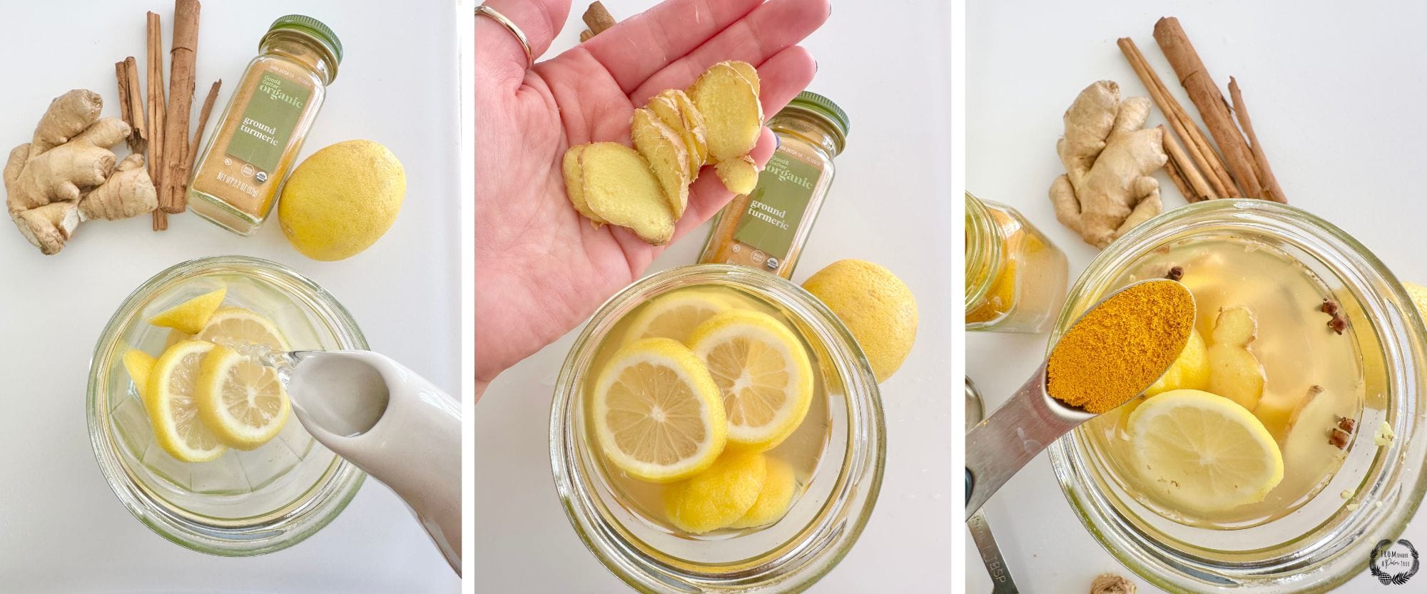 Lemon Ginger Immunity Shots > From Under a Palm Tree